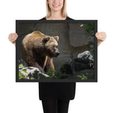 Tableau Animaux Ours Brun en Zoo