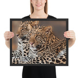 Tableau Léopard Félins en Couple