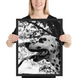 Tableau Moderne Dalmatien