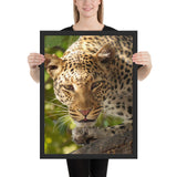 Tableau  Panthère Le Regard