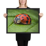 Tableau Coccinelle (Déco)