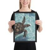 Tableau Animaux Tortue de Mer à la Cool