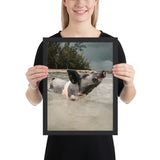 Tableau Cochon Rigolo dans L'Eau