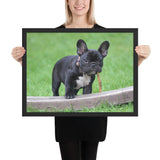 Tableau  Bulldog Jouant