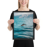 Tableau Animaux Dauphin