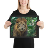 Tableau Animaux Lion Observant sa Proie