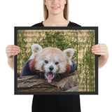 Tableau Moderne Panda Roux Foufou