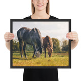 Tableau Chevaux Gris