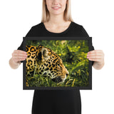 Tableau Jaguar de Profil à la grosse moustache