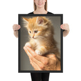 Tableau Chaton Pelage Roux