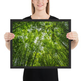 Tableau bambou et ciel bleu