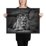 Tableau Tête de Lion Le Roi Noir et Blanc