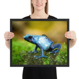 Tableau Grenouille Bleu Visqueux