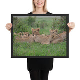 Tableau Animaux  Famille Lion