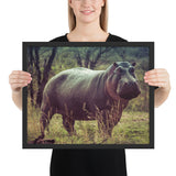 Tableau  Hippopotame Marchant