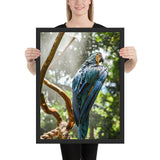 Tableau  Perroquet Royale Coloré Chic