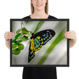 Tableau Moderne Papillon Vert Jaune
