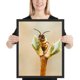 Tableau  Abeille Reine
