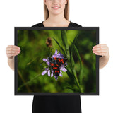 Tableau Ailes de Papillons sur une Lavande