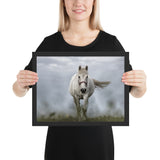 Tableau Cheval Blanc Moderne