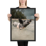 Tableau Cochon aux Bahamas