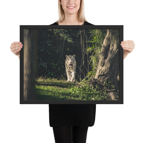 Tableau Tigre Blanc Yeux Bleus Roi