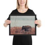 Tableau éléphant d'Afrique en promenade