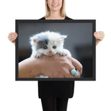 Tableau Chaton Blanc et Gris