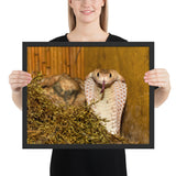 Tableau Cobra Blanc