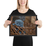 Tableau chat Gris enfant le panier