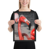 Tableau Animaux avec Flamant Rose
