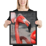 Tableau avec Flamant Rose Orange