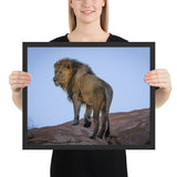 Tableau Lion en Couleur Crinière Sauvage