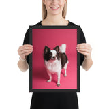 Tableau Chihuahua Fond Rose