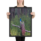 Tableau Oiseau sur branche Fragile (Faisan)