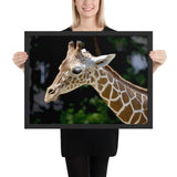 Tableau  Girafe Bébé Désespérée