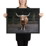 Tableau de Taureau (Photo)