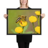 Tableau Abeille La Reine Des Fleurs