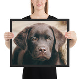 Tableau Labradors Mignon