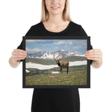 Tableau Cerf en Montagne
