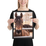 Tableau Animaux Chevaux Pur-Sang