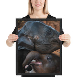 Tableau Famille Eléphant Gros Plan