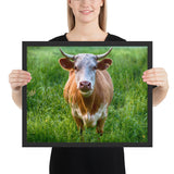 Tableau Vache Aubrac Dans l'Herbe