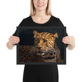 Tableau Jaguar tacheté