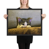 Tableau Chaton jouant à Cache-Cache