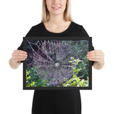 Tableau Animaux Toile d'araignée