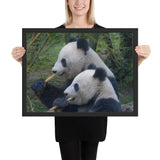 Tableau Moderne Panda Noir et Blanc (Le Duo)