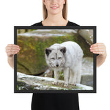 Tableau Bébé Loup Poilu