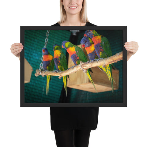 Tableau avec des Perroquets Verts
