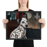 Tableau Dalmatien aux Petites Oreilles